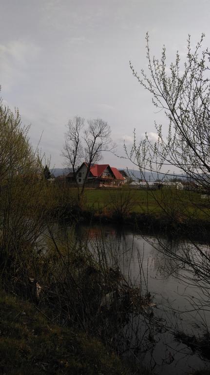 Pensiunea Marceluca Hodosa Exteriör bild